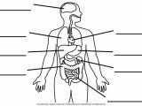 Anatomy and Physiology Worksheets with Index Of Wpcontent