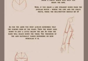 Anatomy Of the Constitution Worksheet as Well as 155 Best Anatomy Images On Pinterest