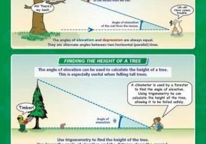 Angle Of Elevation and Depression Trig Worksheet Answers and 200 Best Geometry Trig Images On Pinterest