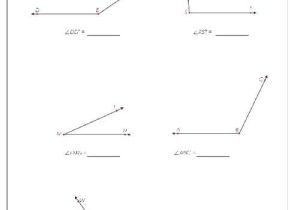 Angles In A Triangle Worksheet or Measuring Angles Worksheet