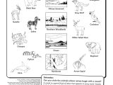 Animal Adaptations Worksheets or Draw A Line From the Animal to It S Habitat Wild Kratts Activity