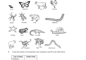 Animal Adaptations Worksheets or Vertebrates and Invertebrates Worksheet Art