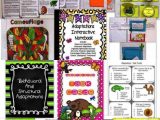 Animal Adaptations Worksheets together with Adaptations Behavioral Structural Physical Bundle Science
