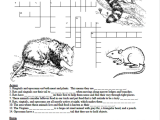 Animal Adaptations Worksheets together with Creatures Of the Night Crossword Puzzle Texas Wildlife association