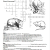 Animal Adaptations Worksheets together with Creatures Of the Night Crossword Puzzle Texas Wildlife association