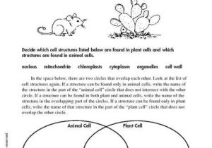 Animal and Plant Cells Worksheet or 21 Best Grade 5 Science Standard 7 Images On Pinterest