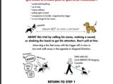 Animal Behavior Worksheet as Well as 410 Best Handouts Images On Pinterest