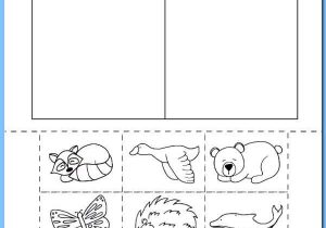 Animal Behavior Worksheet as Well as Hibernation Vs Migration Animal sorting Worksheet