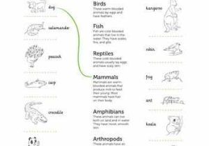 Animal Behavior Worksheet together with 20 Best Life Science Images On Pinterest