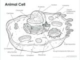 Animal Cell Coloring Worksheet Answers or Animal Cell Coloring Worksheet Cell Labeled Cell Parts Coloring