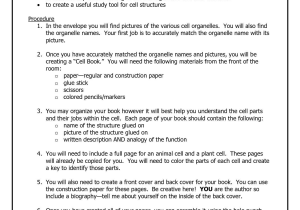 Animal Cell Worksheet Along with Cell organelle Flip Book Biology Cells Pinterest