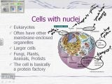 Animal Cell Worksheet Labeling Along with Cell theory and Cell Parts Video Noteswmv