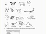Animal Cell Worksheet with Animals Classification Worksheet