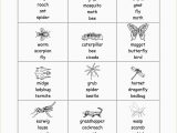 Animal Classification Worksheet Also Animals Classification Worksheet
