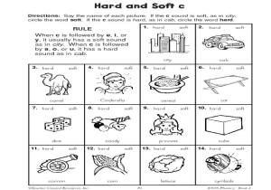 Animal Classification Worksheet Pdf Along with Joyplace Ampquot Spanish Preterite and Imperfect Practice Workshee