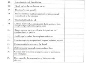 Animal Classification Worksheet together with Animal Cell Essay Cell Membrane Essay Essay On Action Potential