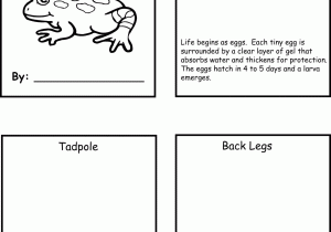 Animal Habitats Worksheets Also Frog Lifecycle Life Cycles Pinterest
