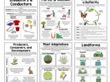 Animal Habitats Worksheets as Well as 6129 Best Elementary Science Activities & Lessons Images On