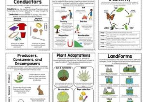 Animal Habitats Worksheets as Well as 6129 Best Elementary Science Activities & Lessons Images On