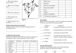 Animal Habitats Worksheets or Science Worksheet Animals Habitat Valid 2nd Grade Worksheet Habitats