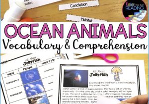 Animal Habitats Worksheets with Differentiated Ocean Animals Unit Reading Passages & Prehension