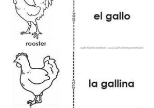 Animals In Spanish Worksheet and 187 Best Spanish Language Printables Images On Pinterest