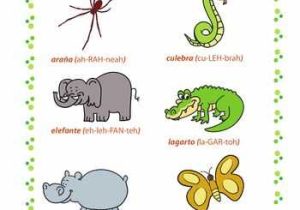Animals In Spanish Worksheet as Well as 128 Best Learning Spanish Images On Pinterest