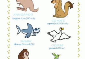 Animals In Spanish Worksheet or Names Of Animals In Spanish
