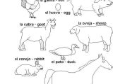 Animals In Spanish Worksheet with 48 Best Learn Spanish Images On Pinterest