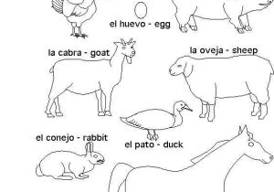 Animals In Spanish Worksheet with 48 Best Learn Spanish Images On Pinterest