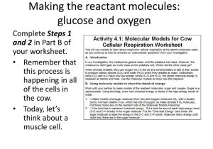 Antibody and Cellular Immunity Worksheet Answers with Making Molecular Models Worksheet Worksheet for Kid