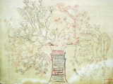 Antigone's Family Tree Worksheet Answers as Well as Courey Family Tree Marhaba Language Expertise
