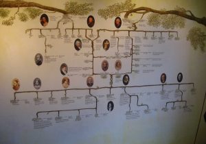 Antigone's Family Tree Worksheet Answers with Darwin Family Reverse Search