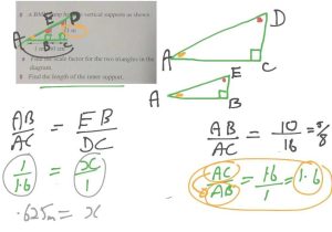 Area and Circumference Of A Circle Worksheet Answers and Two Column Proofs Worksheets with Answers Super Teacher Wo