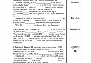 Area Of A Triangle Worksheet together with 10 Fresh Worksheet Answers