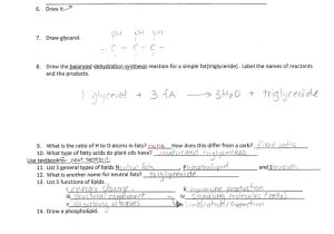 Arithmetic Sequence Worksheet Also Synthesis and De Position Worksheet Choice Image Worksheet Math