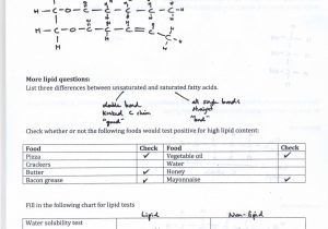 Atoms and isotopes Worksheet with 50 Elegant Image isotopes Ions and atoms Worksheet Answers