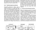 Atp Adp Cycle Worksheet 11 Along with Plant Biochemistry Sdarticle 4 Livro Plant Biochemistry