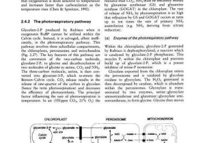 Atp Adp Cycle Worksheet 11 Along with Plant Biochemistry Sdarticle 4 Livro Plant Biochemistry