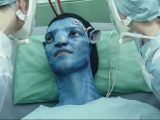 Avatar Movie Lesson Plan Worksheets together with Pin by Julianna Lozano On Avatar Jake and Neytiri
