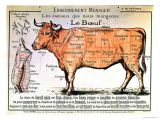 Beef Primal Cuts Worksheet Answers Along with 103 Best butcher Images On Pinterest