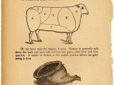 Beef Primal Cuts Worksheet Answers Also 8 Best Lamb Cuts Images On Pinterest