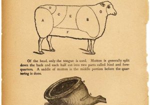 Beef Primal Cuts Worksheet Answers Also 8 Best Lamb Cuts Images On Pinterest