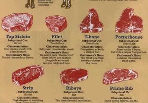 Beef Primal Cuts Worksheet Answers and 103 Best butcher Images On Pinterest