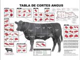 Beef Primal Cuts Worksheet Answers as Well as 103 Best butcher Images On Pinterest