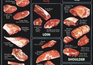 Beef Primal Cuts Worksheet Answers or 8 Best Lamb Cuts Images On Pinterest