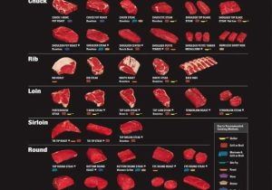Beef Primal Cuts Worksheet Answers together with 59 Best P Meat Types Images On Pinterest