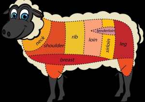 Beef Primal Cuts Worksheet Answers together with Cuts Meat Sheep Tips Google Search Show Animals