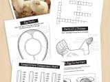 Beef Primal Cuts Worksheet Answers together with Great Resource for Teachers Have Chicks In the Classroom Here are