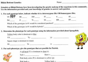 Bikini Bottom Genetics Worksheet and Free Printable 7th Grade Science Worksheets Bikini Bottom Genetics